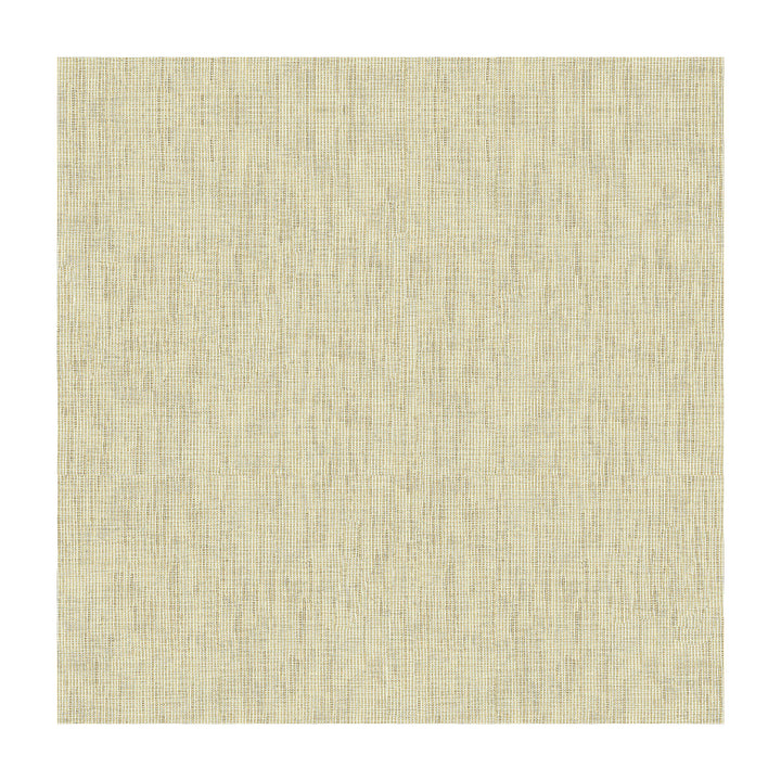 4218-1611 by Kravet Design Fabric POLYESTER - 100% Turkey Horizontal: and Vertical: 117 - Fabric Carolina -