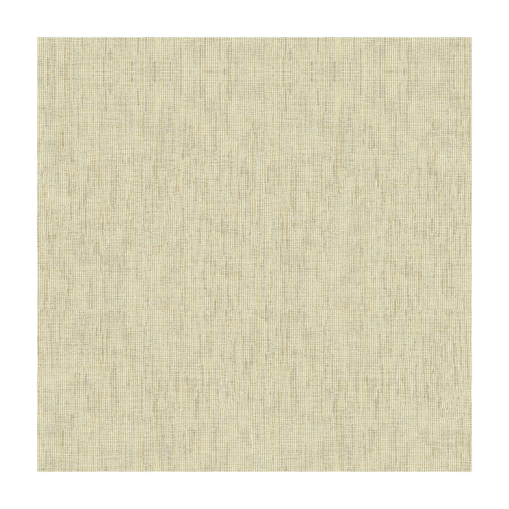 4218-1611 by Kravet Design Fabric - POLYESTER - 100% Turkey - Horizontal: - and Vertical: - 117 - Fabric Carolina -