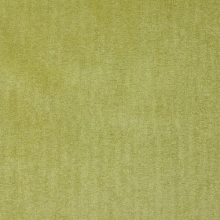 4229 Spring by Charlotte Fabric Elegance of Woven Velvet III 100% Woven Polyester Asia Exceeds 200,000 Wyzenbeek Rubs (Heavy Duty) </p><p>Repeat: 54 Inches - Fabric Carolina -