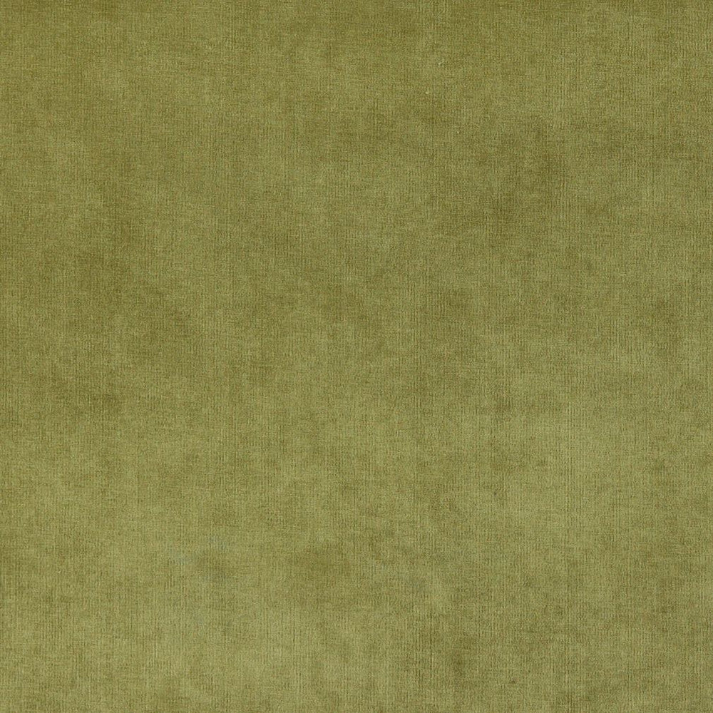4234 Fern by Charlotte Fabric Elegance of Woven Velvet III 100% Woven Polyester Asia Exceeds 200,000 Wyzenbeek Rubs (Heavy Duty) No Repeat 54 Inches - Fabric Carolina -