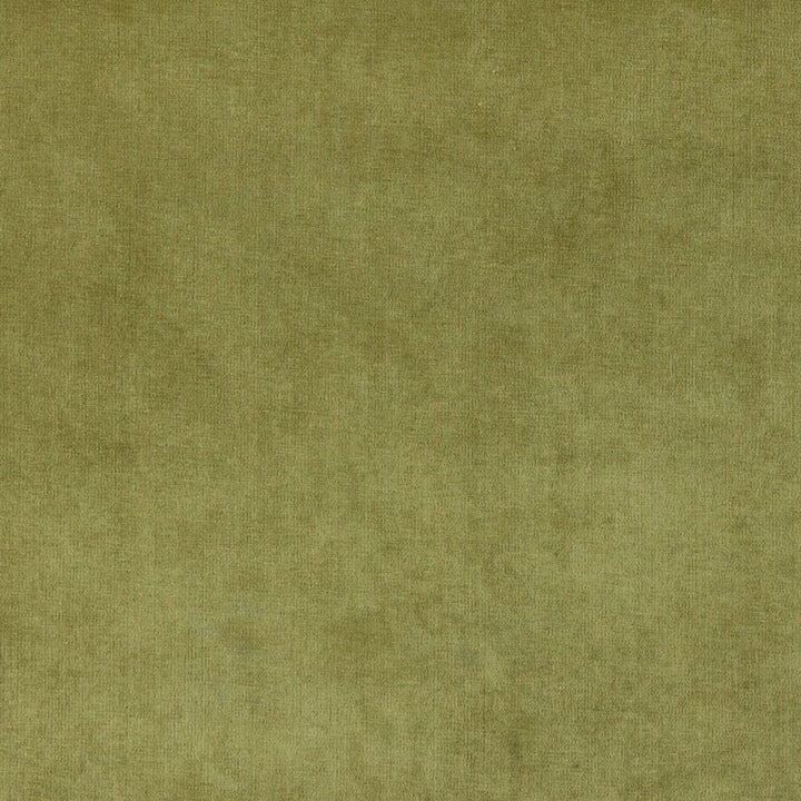 4234 Fern by Charlotte Fabric Elegance of Woven Velvet III 100% Woven Polyester Asia Exceeds 200,000 Wyzenbeek Rubs (Heavy Duty) No Repeat 54 Inches - Fabric Carolina -