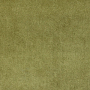 4234 Fern by Charlotte Fabric