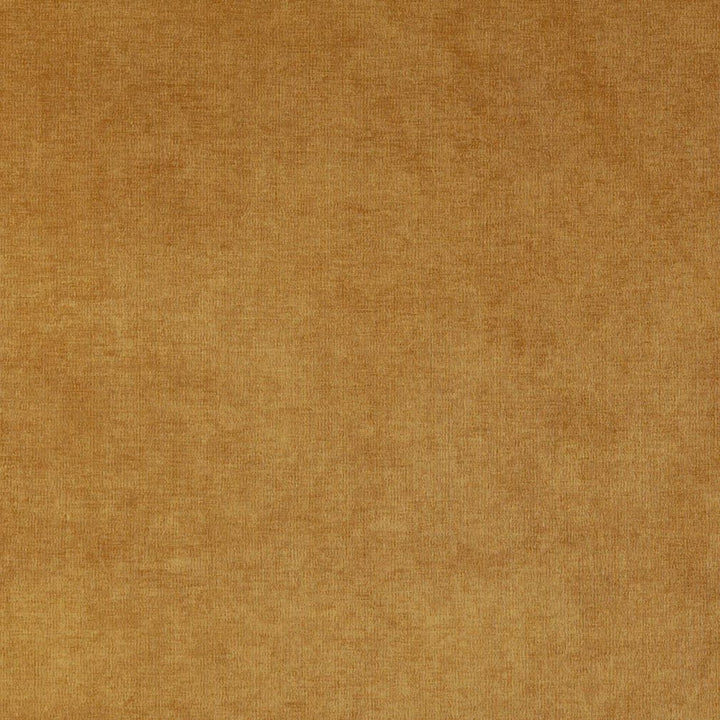 4236 Gold by Charlotte Fabric Elegance of Woven Velvet III 100% Woven Polyester Asia Exceeds 200,000 Wyzenbeek Rubs (Heavy Duty) No Repeat 54 Inches - Fabric Carolina -
