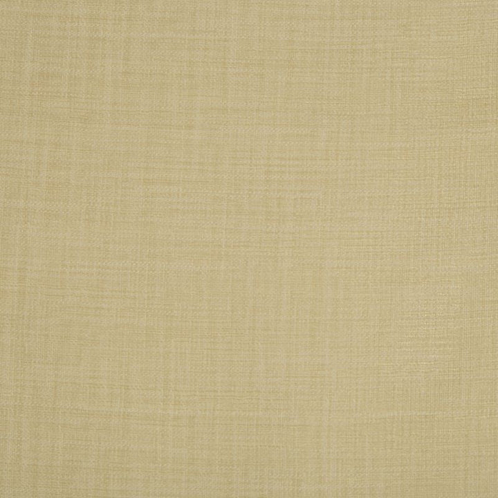 4250.16 by Kravet Basics Designer Fabric Gis Polyester 100% France see sample Horizontal: see sample and Vertical: see sample 138 inches - Swanky Fabrics -