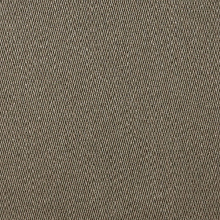 4257 Mocha by Charlotte Fabric Ring Book Page #15 76% Olefin, 24% Polyester Made In USA Exceeds 80,000 Wyzenbeek Rubs (Heavy Duty) Horizontal: 2.0" 54 Inches - Fabric Carolina -