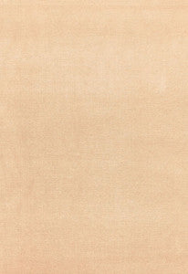 Gainsborough Velvet Blush 42700 by Schumacher Fabric