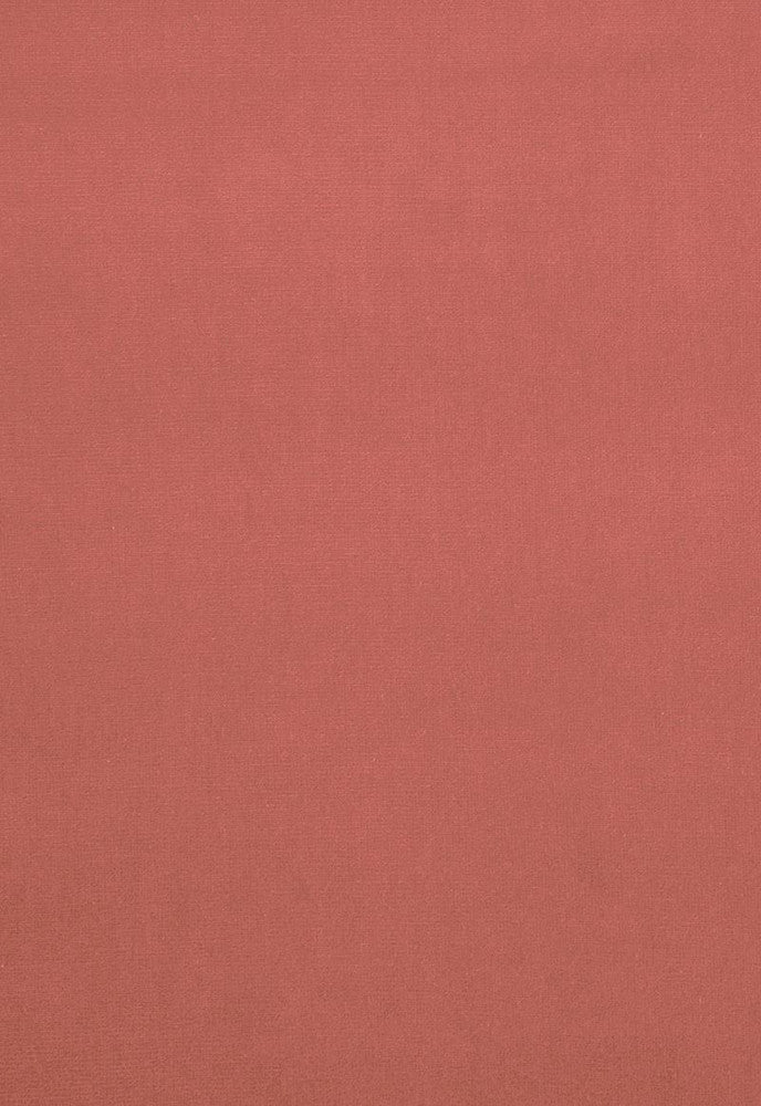 Gainsborough Velvet Petal 42705 by Schumacher Fabric Gainsborough-Velvets 100% Cotton Wyzenbeek 40,000 Horizontal: - and Vertical: - 55 - Fabric Carolina -