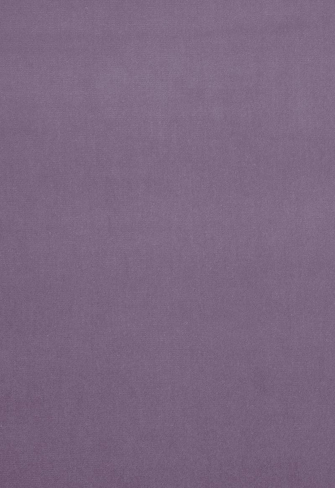 Gainsborough Velvet Smoke 42733 by Schumacher Fabric Gainsborough-Velvets 100% Cotton Wyzenbeek 40,000 Horizontal: - and Vertical: - 55 - Fabric Carolina -
