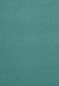 Gainsborough Velvet Spray 42754 by Schumacher Fabric