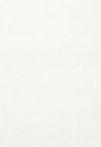 Gainsborough Velvet White 42777 by Schumacher Fabric