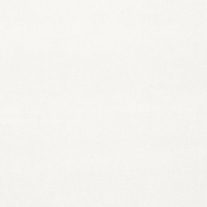 Gainsborough Velvet White 42777 by Schumacher Fabric GAINSBOROUGH VELVET See Sample NETHERLANDS HEAVY DUTY </p><p>Repeat: Horizontal: - and Vertical: - 55" WIDE (140CM) - Fabric Carolina -