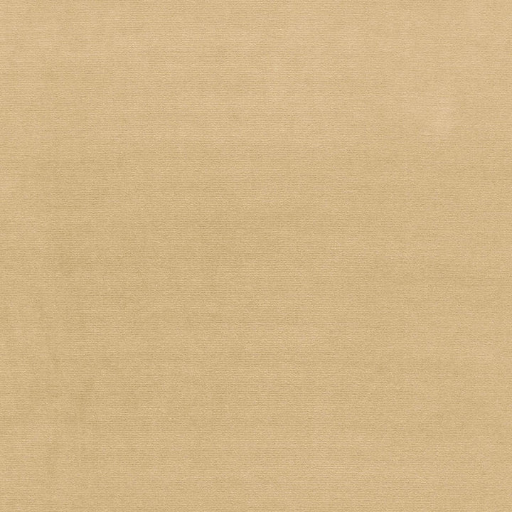 Gainsborough Velvet Vanilla 42779 by Schumacher Fabric GAINSBOROUGH VELVET COTTON 100% NETHERLANDS WYZENBEEK 40,000 </p><p>Repeat: Horizontal: and Vertical: 55 - Fabric Carolina -