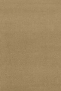 Gainsborough Velvet Champagne 42782 by Schumacher Fabric
