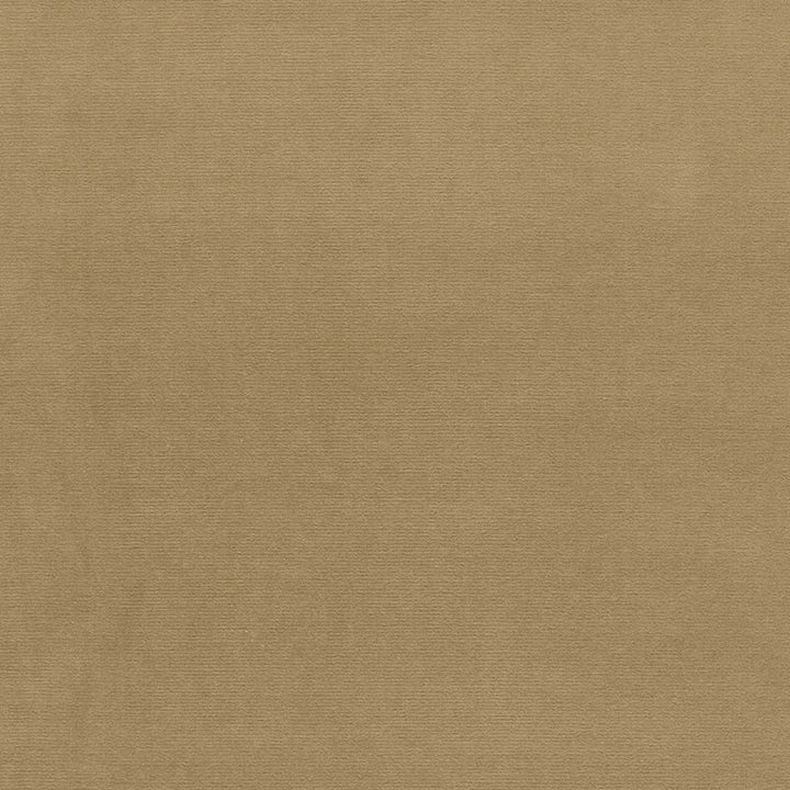 Gainsborough Velvet Champagne 42782 by Schumacher Fabric GAINSBOROUGH VELVET See Sample NETHERLANDS HEAVY DUTY </p><p>Repeat: Horizontal: - and Vertical: - 55" WIDE (140CM) - Fabric Carolina -