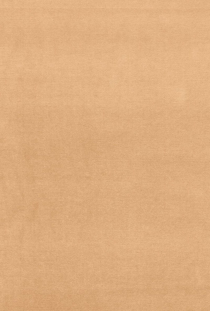 Gainsborough Velvet Chamois 42784 by Schumacher Fabric Gainsborough-Velvets 100% Cotton Wyzenbeek 40,000 Horizontal: - and Vertical: - 55 - Fabric Carolina -