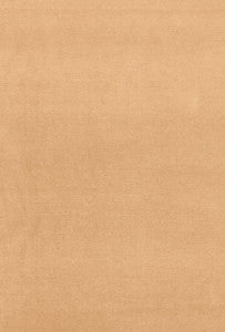 Gainsborough Velvet Chamois 42784 by Schumacher Fabric