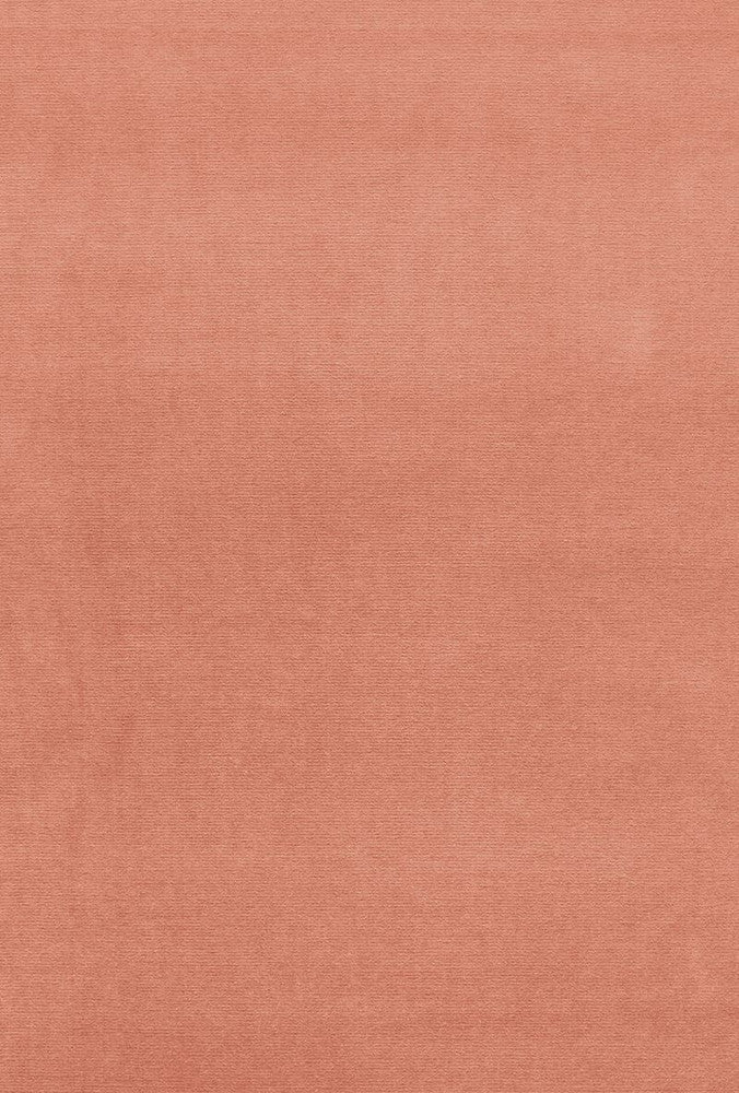Gainsborough Velvet Cameo 42786 by Schumacher Fabric Gainsborough-Velvets 100% Cotton Wyzenbeek 40,000 Horizontal: - and Vertical: - 55 - Fabric Carolina -