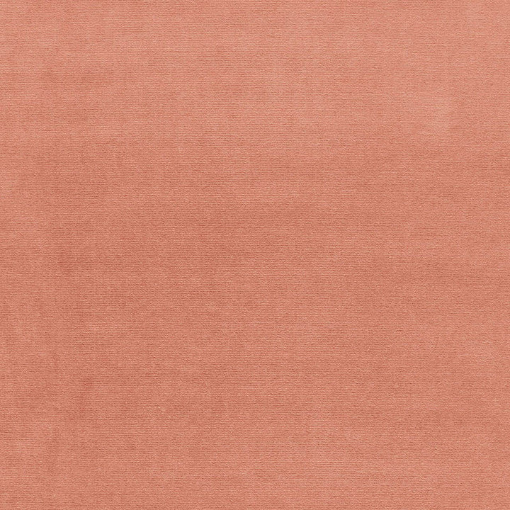 Gainsborough Velvet Cameo 42786 by Schumacher Fabric Schumacher Fabric Gainsborough Velvet Cameo 42786Fabric COTTON 100% NETHERLANDS </p><p>Repeat: H: , V: 55 - Fabric Carolina -