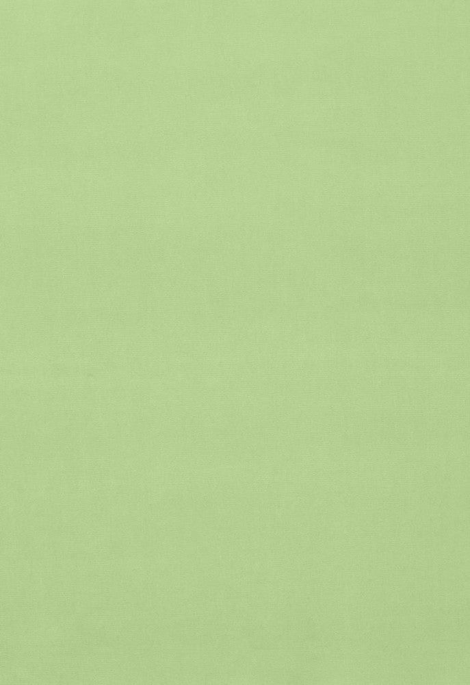 Gainsborough Velvet Mint 42855 by Schumacher Fabric Gainsborough-Velvets 100% Cotton Wyzenbeek 40,000 Horizontal: - and Vertical: - 55 - Fabric Carolina -