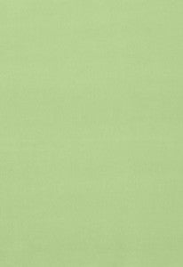 Gainsborough Velvet Mint 42855 by Schumacher Fabric