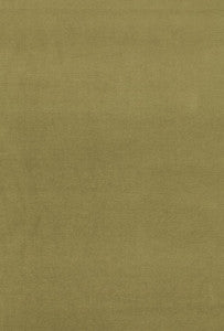 Gainsborough Velvet Lichen 42858 by Schumacher Fabric