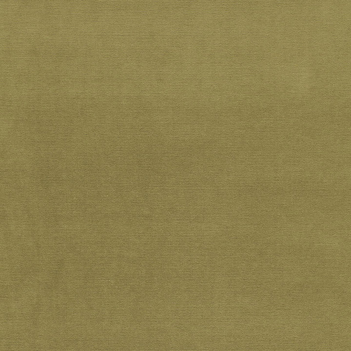 Gainsborough Velvet Lichen 42858 by Schumacher Fabric GAINSBOROUGH WOVENS F90 COTTON 100% NETHERLANDS WYZENBEEK 40,000 </p><p>Repeat: Horizontal: and Vertical: 55 - Fabric Carolina -