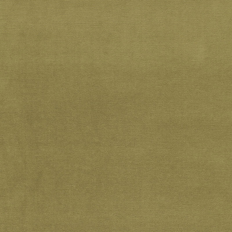 Gainsborough Velvet Lichen 42858 by Schumacher Fabric GAINSBOROUGH WOVENS F90 See Sample NETHERLANDS HEAVY DUTY </p><p>Repeat: Horizontal: - and Vertical: - 55" WIDE (140CM) - Fabric Carolina -