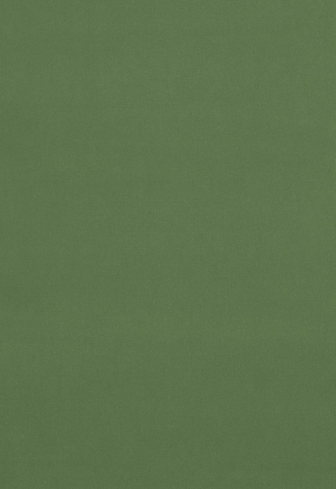 Gainsborough Velvet Reseda 42862 by Schumacher Fabric Gainsborough-Velvets 100% Cotton Wyzenbeek 40,000 Horizontal: - and Vertical: - 55 - Fabric Carolina -