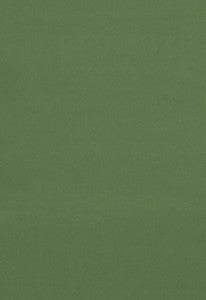 Gainsborough Velvet Reseda 42862 by Schumacher Fabric