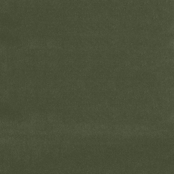 Gainsborough Velvet Parsley 42865 by Schumacher Fabric GAINSBOROUGH VELVET COTTON 100% NETHERLANDS WYZENBEEK 40,000 </p><p>Repeat: Horizontal: and Vertical: 55 - Fabric Carolina -