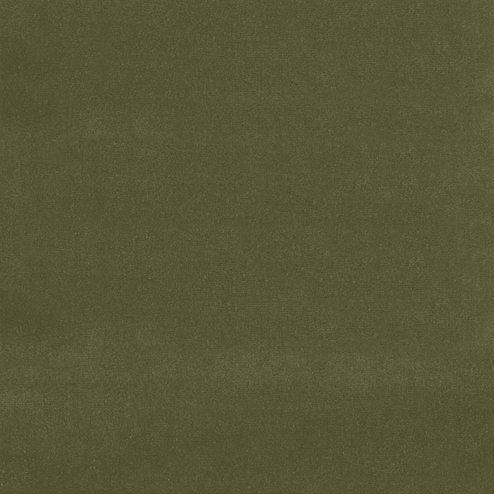 Gainsborough Velvet Dark Olive 42867 by Schumacher Fabric GAINSBOROUGH VELVET See Sample NETHERLANDS HEAVY DUTY </p><p>Repeat: Horizontal: - and Vertical: - 55" WIDE (140CM) - Fabric Carolina -