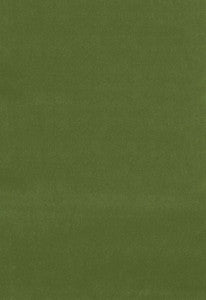 Gainsborough Velvet Fern 42869 by Schumacher Fabric