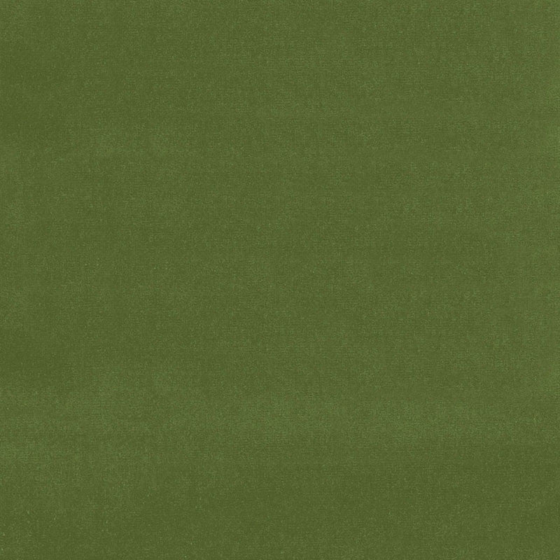 Gainsborough Velvet Fern 42869 by Schumacher Fabric GAINSBOROUGH VELVET COTTON 100% NETHERLANDS WYZENBEEK 40,000 </p><p>Repeat: Horizontal: and Vertical: 55 - Fabric Carolina -