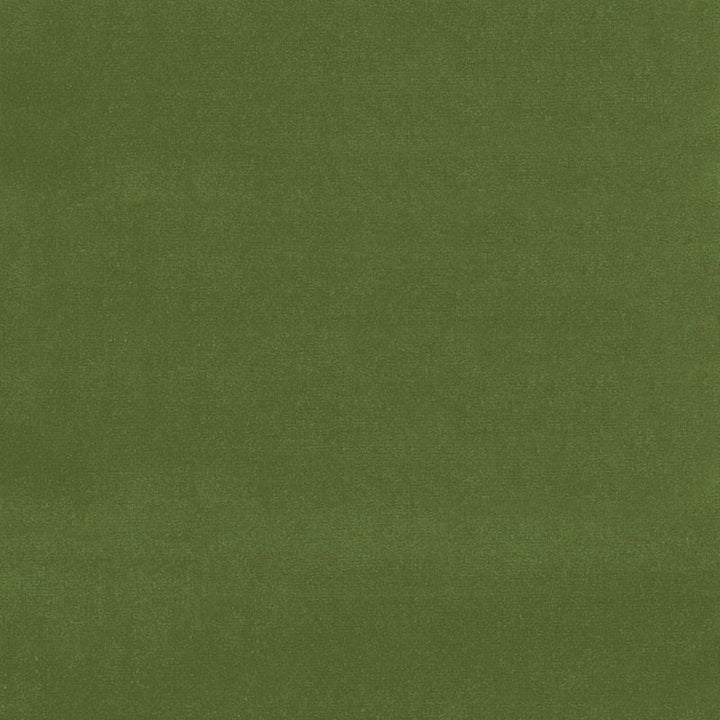 Gainsborough Velvet Fern 42869 by Schumacher Fabric GAINSBOROUGH VELVET COTTON 100% NETHERLANDS WYZENBEEK 40,000 </p><p>Repeat: Horizontal: and Vertical: 55 - Fabric Carolina -