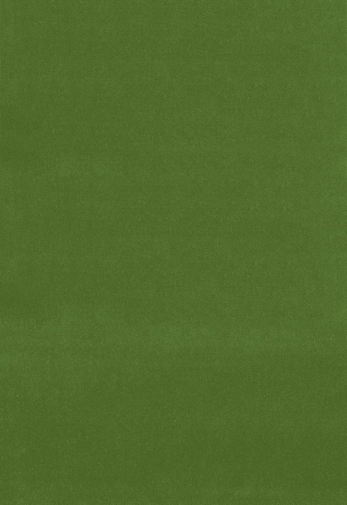 Gainsborough Velvet English Green 42870 by Schumacher Fabric Gainsborough-Velvets 100% Cotton Wyzenbeek 40,000 Horizontal: - and Vertical: - 55 - Fabric Carolina -