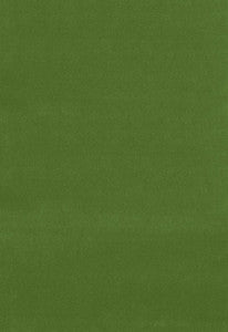 Gainsborough Velvet English Green 42870 by Schumacher Fabric