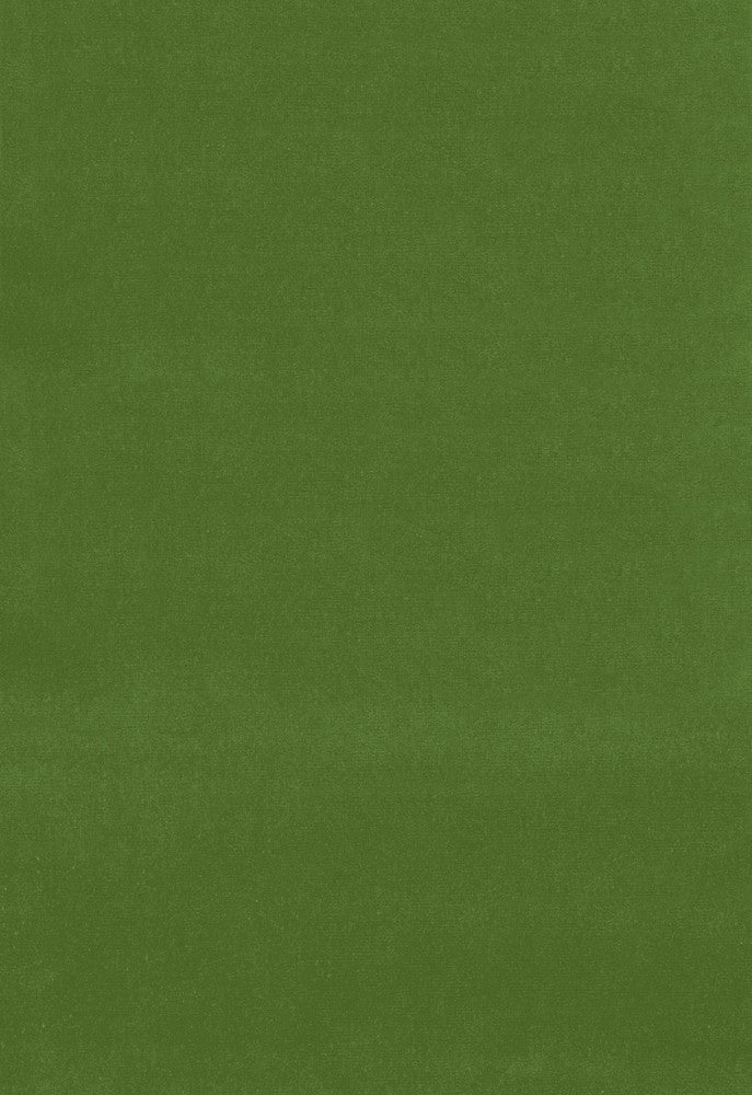 Gainsborough Velvet English Green 42870 by Schumacher Fabric CHROMA See Sample NETHERLANDS HEAVY DUTY </p><p>Repeat: Horizontal: - and Vertical: - 55" WIDE (140CM) - Fabric Carolina -