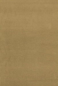 Gainsborough Velvet Pistachio 42872 by Schumacher Fabric