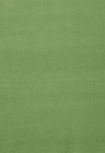 Gainsborough Velvet Willow 42873 by Schumacher Fabric