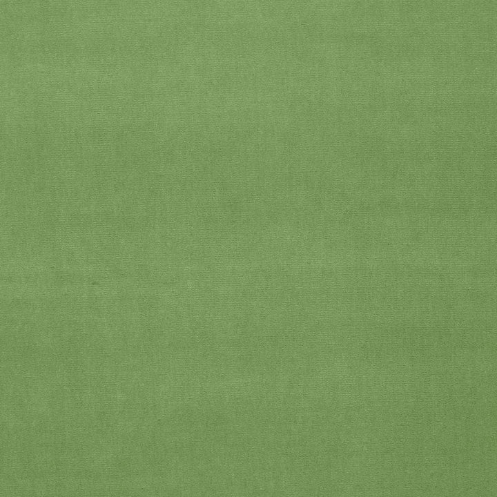 Gainsborough Velvet Willow 42873 by Schumacher Fabric Schumacher Fabric Gainsborough Velvet Willow 42873Fabric COTTON 100% NETHERLANDS </p><p>Repeat: H: , V: 55 - Fabric Carolina -