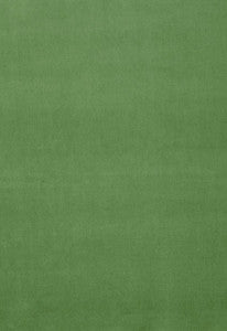 Gainsborough Velvet Parrot 42876 by Schumacher Fabric