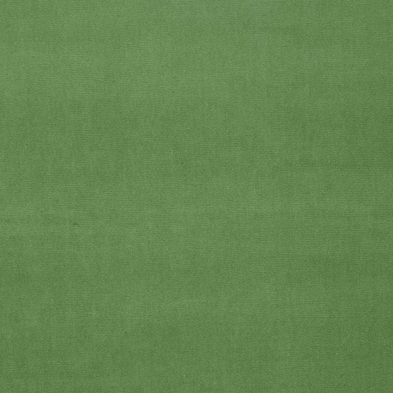 Gainsborough Velvet Parrot 42876 by Schumacher Fabric GAINSBOROUGH WOVENS F90 COTTON 100% NETHERLANDS WYZENBEEK 40,000 </p><p>Repeat: Horizontal: and Vertical: 55 - Fabric Carolina -