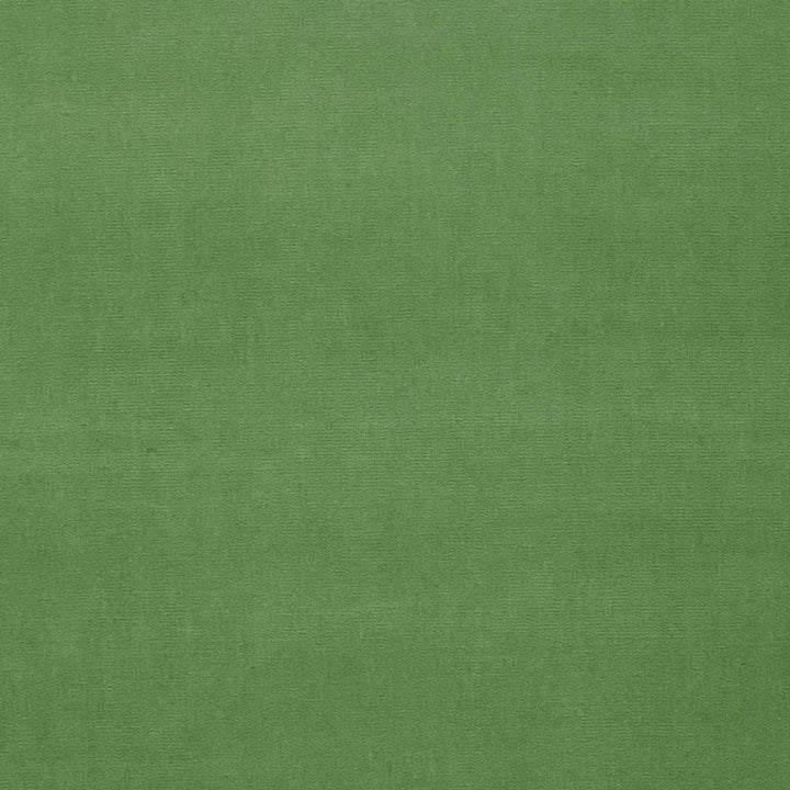 Gainsborough Velvet Parrot 42876 by Schumacher Fabric GAINSBOROUGH WOVENS F90 COTTON 100% NETHERLANDS WYZENBEEK 40,000 </p><p>Repeat: Horizontal: and Vertical: 55 - Fabric Carolina -