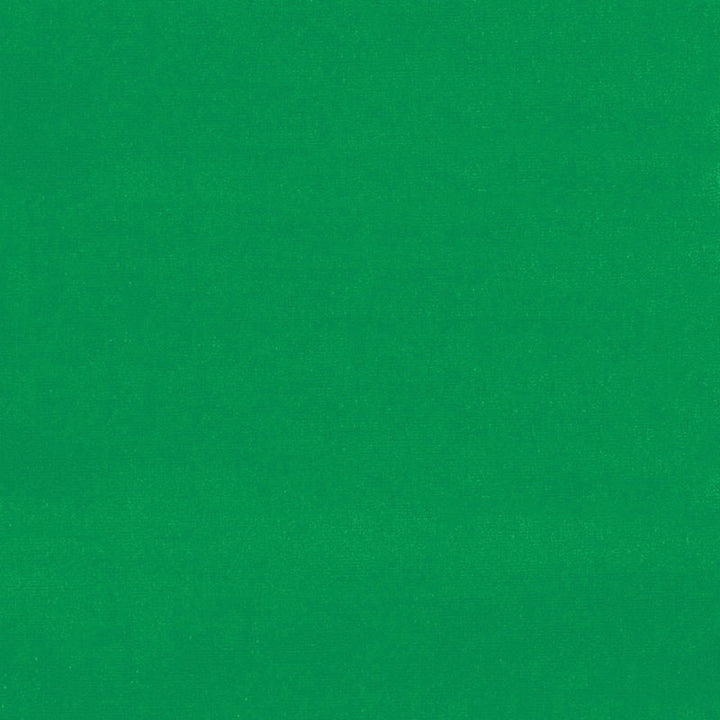 Gainsborough Velvet Emerald 42877 by Schumacher Fabric GAINSBOROUGH WOVENS F90 COTTON 100% NETHERLANDS WYZENBEEK 40,000 </p><p>Repeat: Horizontal: and Vertical: 55 - Fabric Carolina -