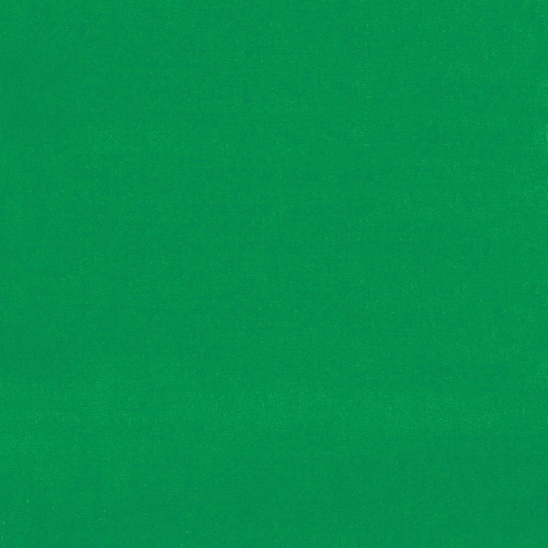 Gainsborough Velvet Emerald 42877 by Schumacher Fabric GAINSBOROUGH WOVENS F90 See Sample NETHERLANDS HEAVY DUTY </p><p>Repeat: Horizontal: - and Vertical: - 55" WIDE (140CM) - Fabric Carolina -