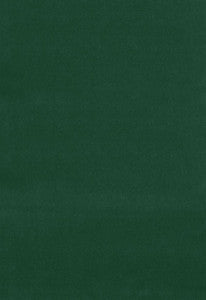 Gainsborough Velvet Ivy 42880 by Schumacher Fabric