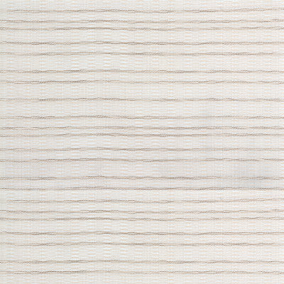 Kravet Basics 4302-16 by Kravet Basics Fabric