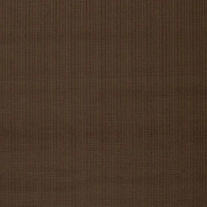 Antique Strie Velvet Mocha 43043 by Schumacher Designer Fabric CHROMA COTTON 65% VISCOSE RAYON 35% UNITED STATES OF AMERICA WYZENBEEK 150,000 </p><p>Repeat: Horizontal: and Vertical: 54 - Swanky Fabrics -