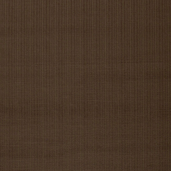 Antique Strie Velvet Mocha 43043 by Schumacher Fabric CHROMA COTTON 65% VISCOSE RAYON 35% UNITED STATES OF AMERICA WYZENBEEK 150,000 </p><p>Repeat: Horizontal: and Vertical: 54 - Fabric Carolina -
