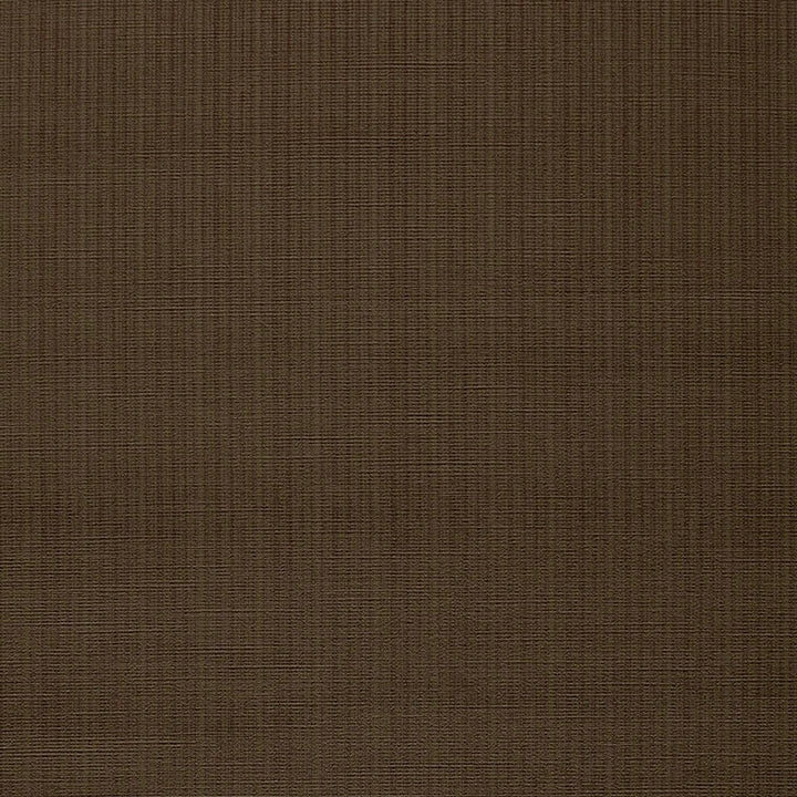 Amboise Cafe Velvet by Latimer Alexander Fabric 65% Cotton, 35% Viscose Wyzenbeek 100,000 Horizontal: - and Vertical: - 54 - Fabric Carolina -